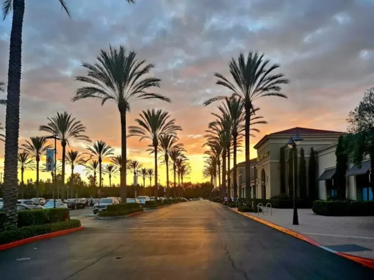 area we serve - Irvine